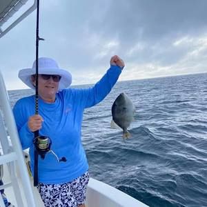 Meet your Posher, Monica